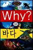 Why? ���� �ٴ�