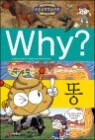 Why? ���� ��
