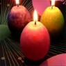 �Ʒθ�ĵ�� ���׸Ӵ�-�ڽ��� 6����Ʈ