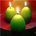 �Ʒθ�ĵ�� ���׸Ӵ�-ī���� 6����Ʈ