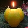 �Ʒθ�ĵ�� ���׸Ӵ�-���� 6����Ʈ