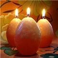 �Ʒθ�ĵ�� ���׸Ӵ�-��Ƽ��Ű�� 6����Ʈ �����ġ��