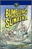 Bumbling Through Sumatra