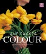 ���� ��Ŀ�� �÷� JANE PACKER COLOUR