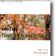 ���������ι��� Flash MX �׼ǽ�ũ��Ʈ