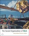 The Social Organization of Work