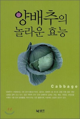 양배추의