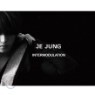������ (��������) - ȭ���� [Je Jung - Intermodulation]