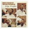 Muddy Waters - Folk Singer