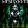 Meshuggah - True Human Design