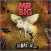 Mr.Big - What If...