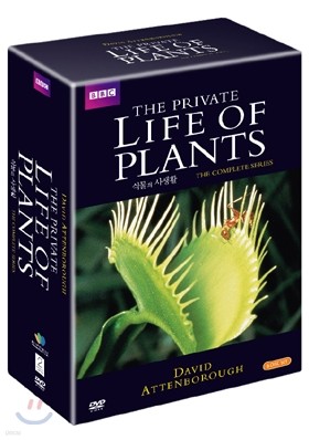 식물의 사생활: BBC 세계 명작 다큐멘터리 시리즈 제1탄 (KBS방영 화제작)
