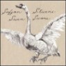 Sufjan Stevens - Seven Swans (2LP)
