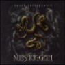Meshuggah - Catch Thirty Three