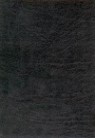 New Oxford Annotated Bible