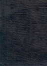 New Oxford Annotated Bible