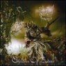 Children Of Bodom - Relentless, Reckless Forever (Digipack)(CD+DVD)