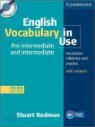 English Vocabulary in Use : Pre-intermediate and Intermediate with Answers & CD-Rom