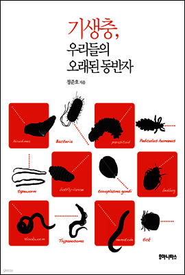 , 츮  