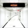 Moby - Destroyed (Limited Edition)