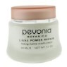 �亸�Ͼ� ��Ÿ��ī  �۹� ���� ����ƾ ũ��  50ml