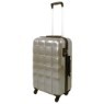 �Ϻ���ǰ ĳ����డ�� ���ö� neo-Luster 24��ġ luxury Silver