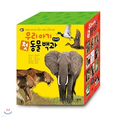 츮 Ʊ ù  