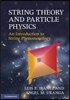 String Theory and Particle Physics