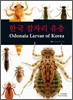 한국 잠자리 유충