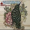 Wallflowers - Rebel, Sweetheart (����)