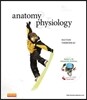 Anatomy & Physiology