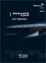 2012 YF�Ÿ ���̺긮�� ������ħ��
