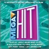 Mega Hit (�ް� ��Ʈ)