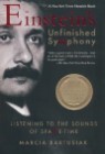 Einstein's Unfinished Symphony: Listening to the Sounds of Space-Time