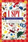 Scholastic Reader Level 1 : I Spy A Dinosaur's Eye