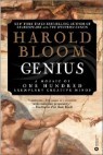 Genius : A Mosaic of One Hundred Exemplary Creative Minds