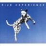 Rize (������) - Experience (�Ϻ���)