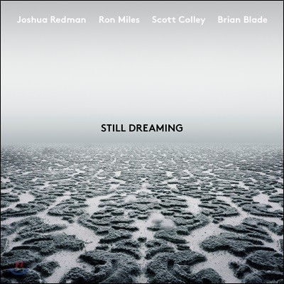 Joshua Redman (조슈아 레드맨) - Still Dreaming (feat. Ron Miles, Scott Colley & Brian Blade)