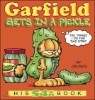 Garfield Gets in a Pickle