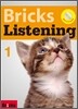 Bricks Listening 1