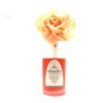 [�Ʒθ�ĵ��] �Ʒθ� �ö�� ��ǻ�� - ���� ���� 100ml
