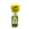 [�Ʒθ�ĵ��] �Ʒθ� �ö�� ��ǻ�� - ���϶� ���μ� 100ml