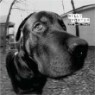 Willy Porter - Dog Eared Dream