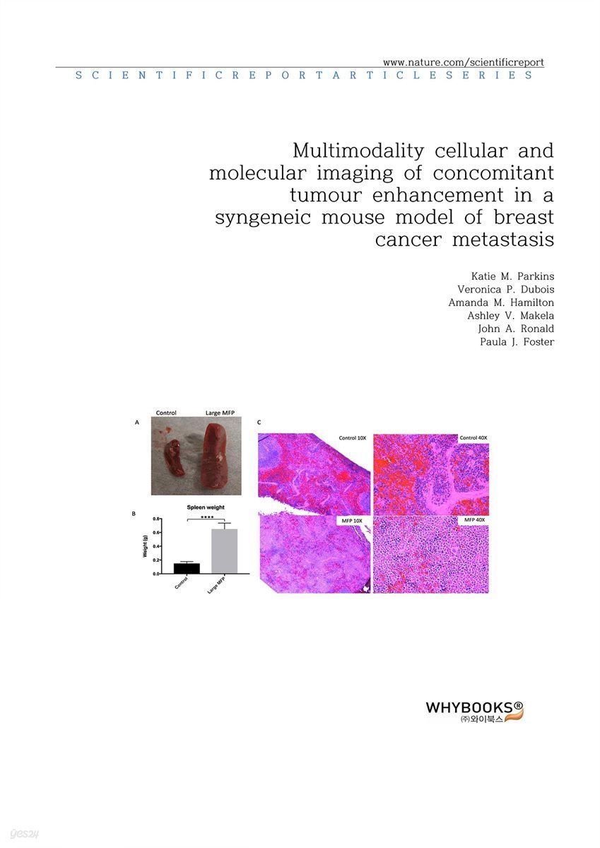 전자책 Multimodality cellular and molecular imaging of concomitant