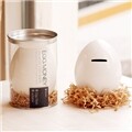 EGG MONEY ���ڱ� ������