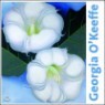 Georgia O'keeffe