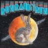 Sufjan Stevens & Osso - Run Rabbit Run (2LP)