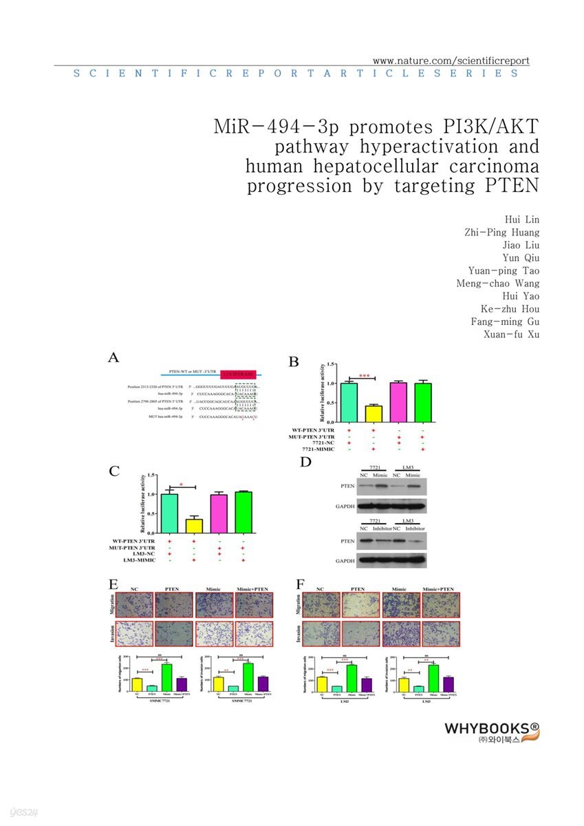 Mir P Promotes Pi Kakt Pathway Hyperactivation And Human