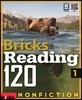 Bricks Reading 120 Nonfiction 1