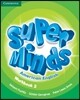 Super Minds American English Level 2 Workbook